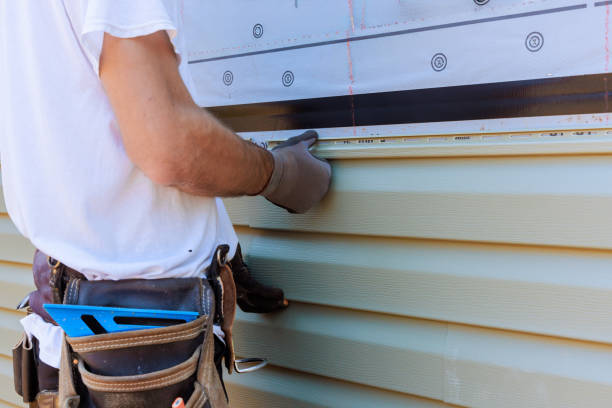 Best Insulated Siding Installation  in USA